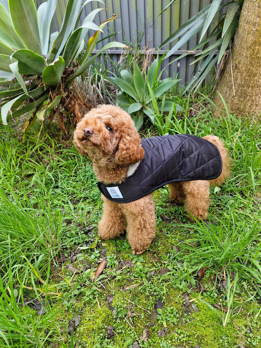 AirSkimo Warm-Up Dog Coat